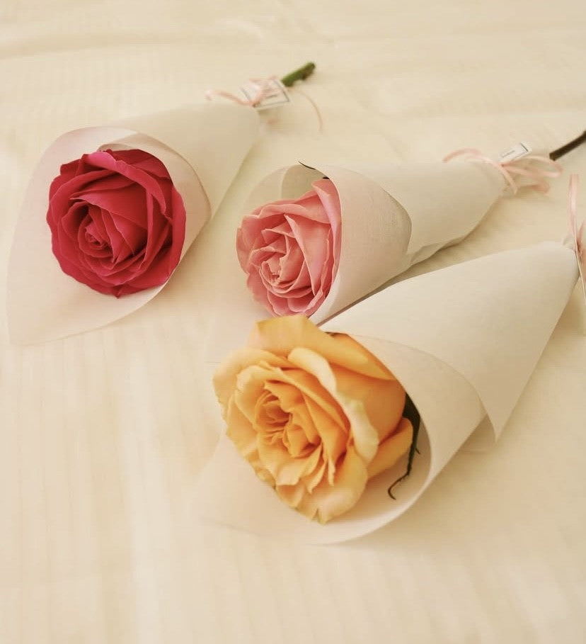 MINI24 (colores opcionales de rosas)