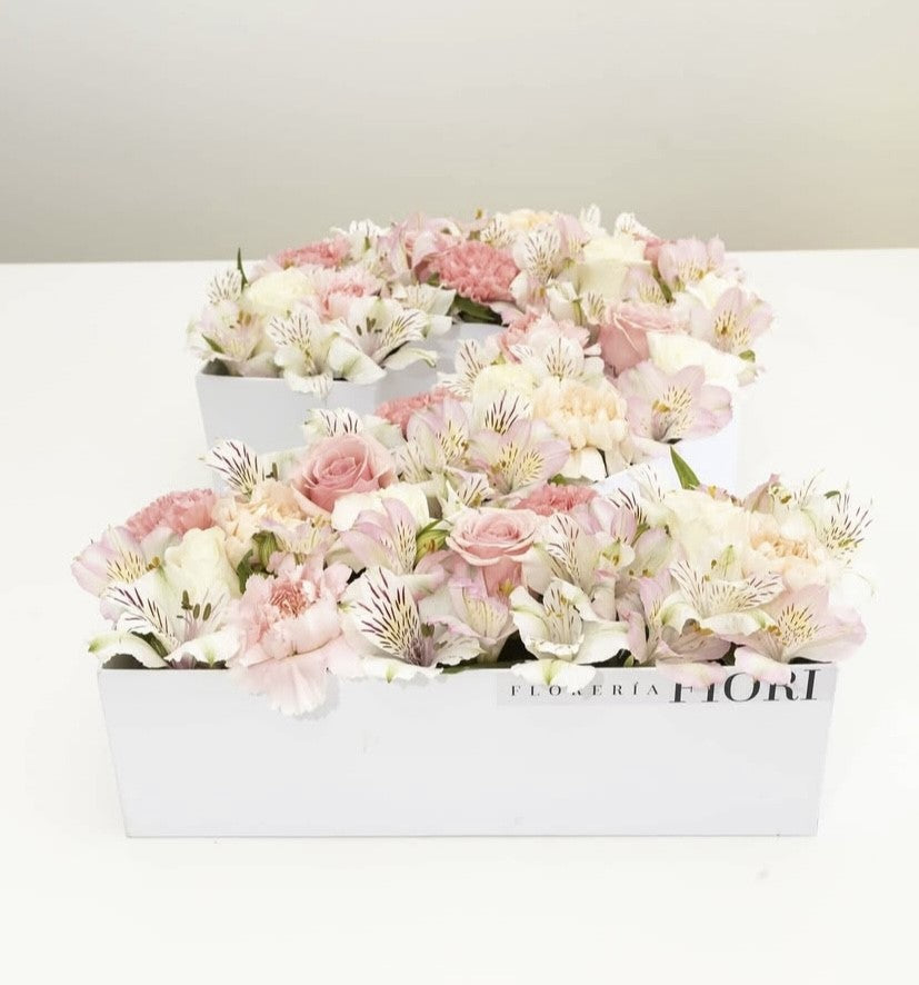 NUMBERFLOWERS2