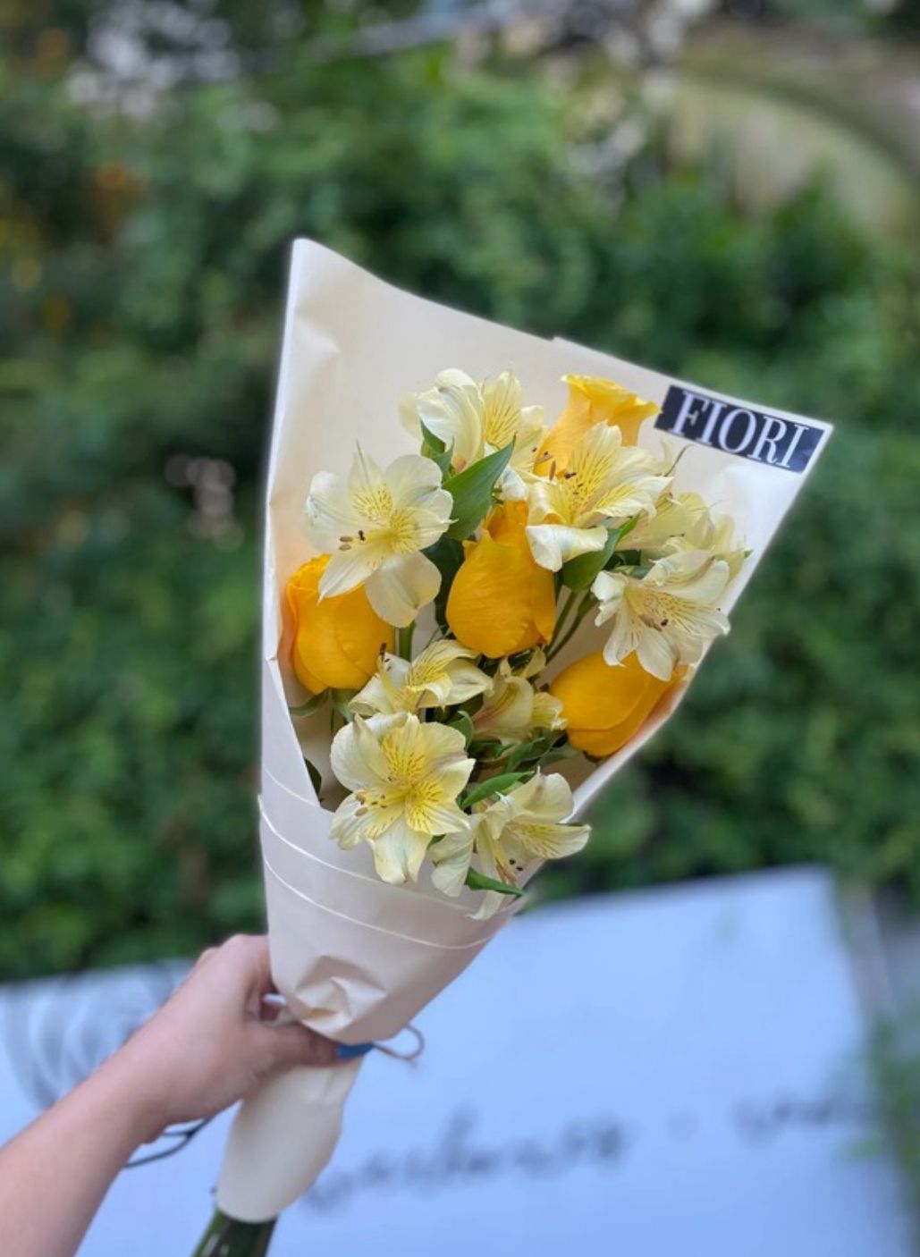 RA 92 COQUETTE YELLOW