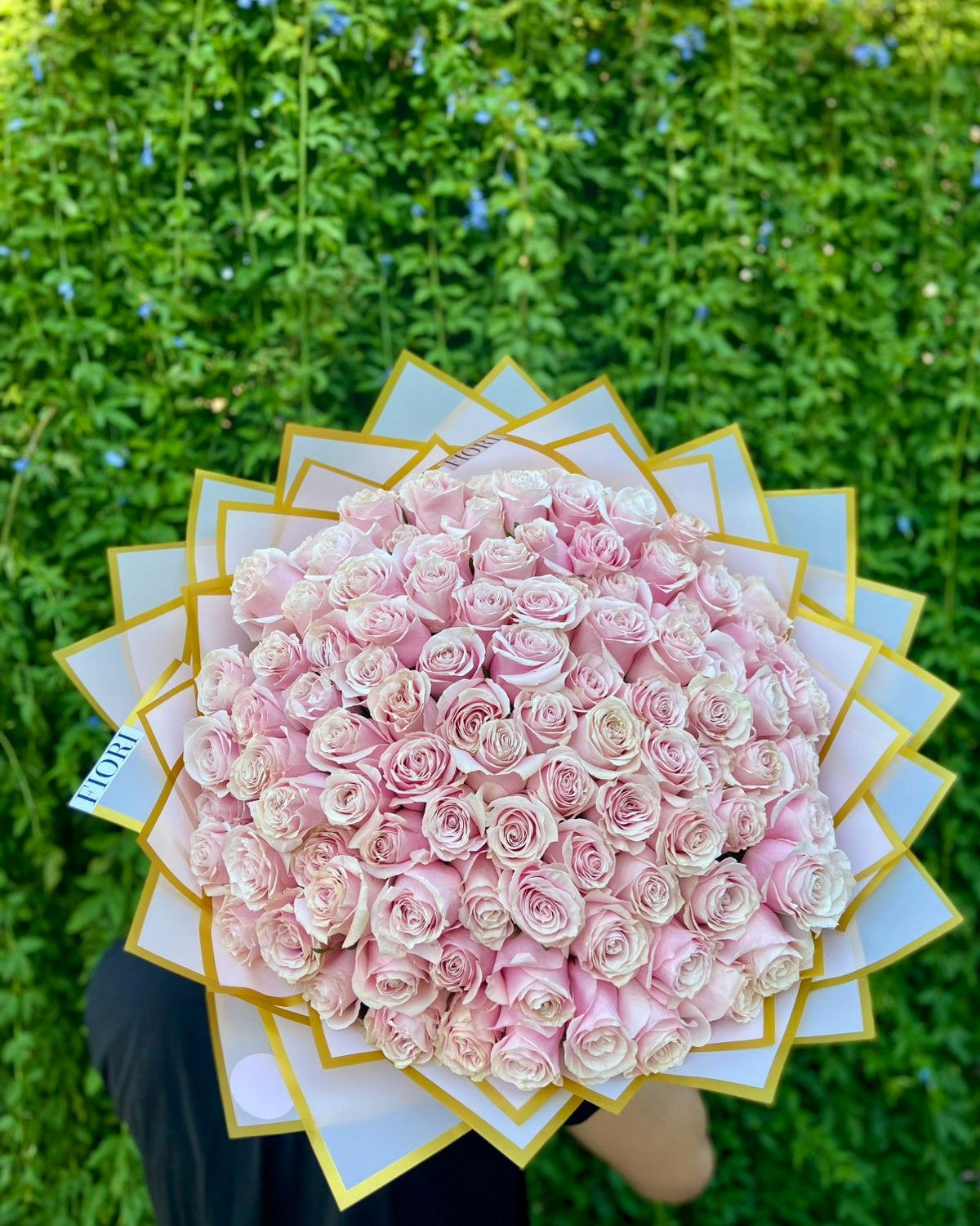 RA 100 ROSAS