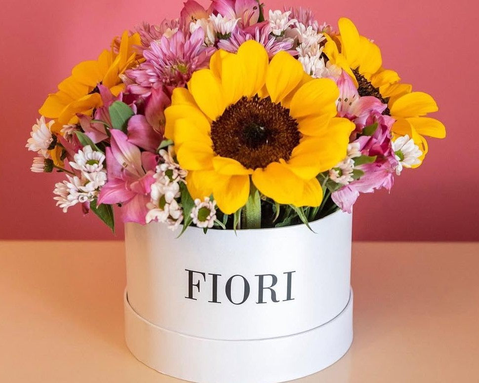 BOXGIRASOL
