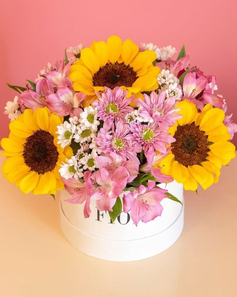 BOXGIRASOL
