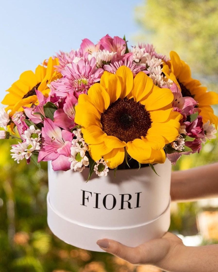 BOXGIRASOL