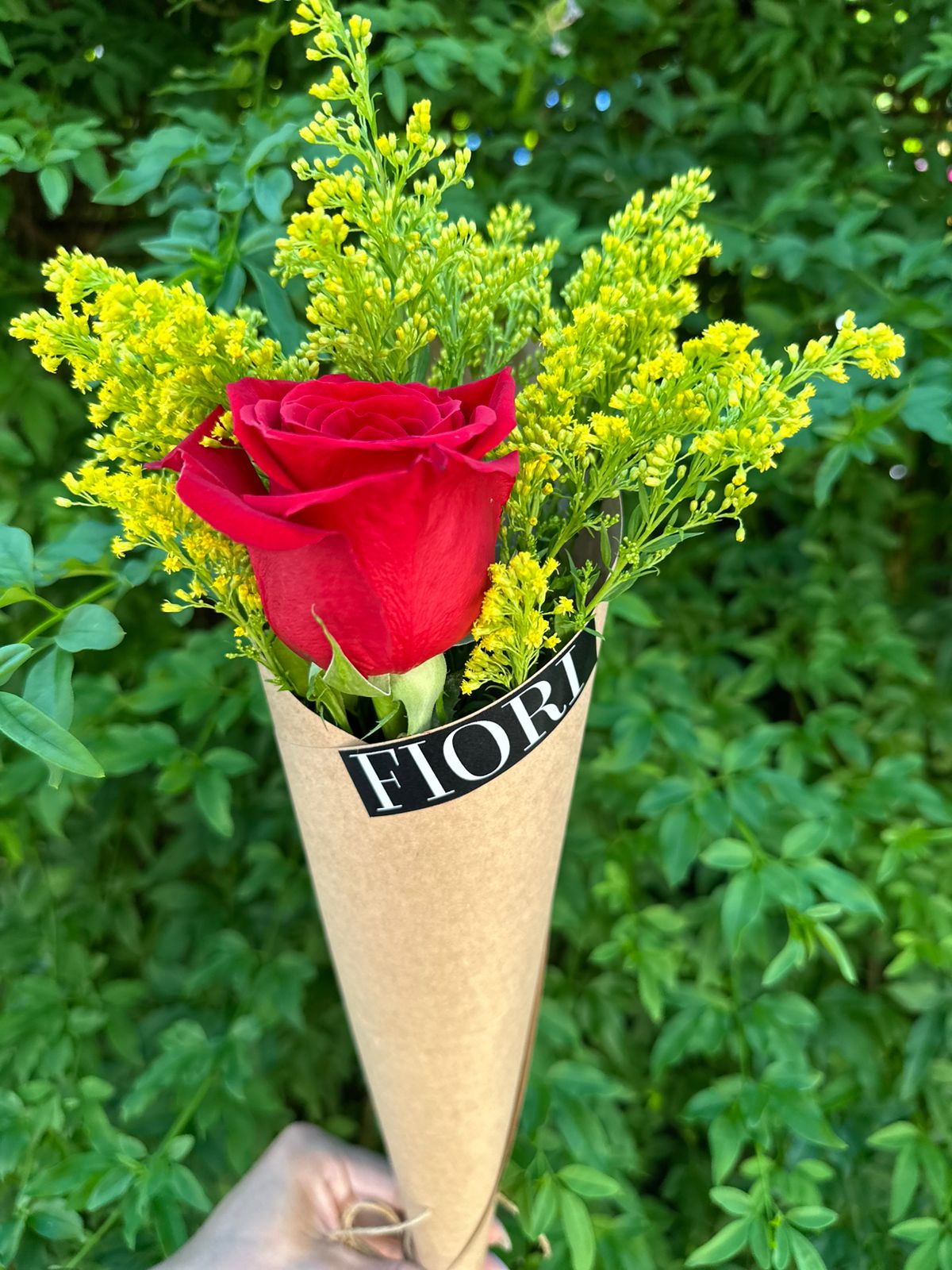 MINI24 (colores opcionales de rosas)