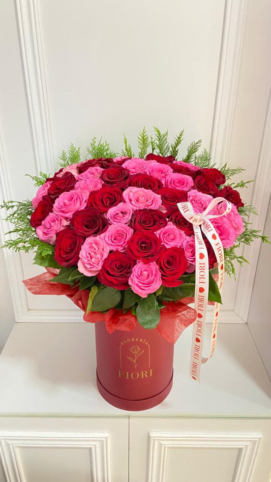 BOX ROSÉ