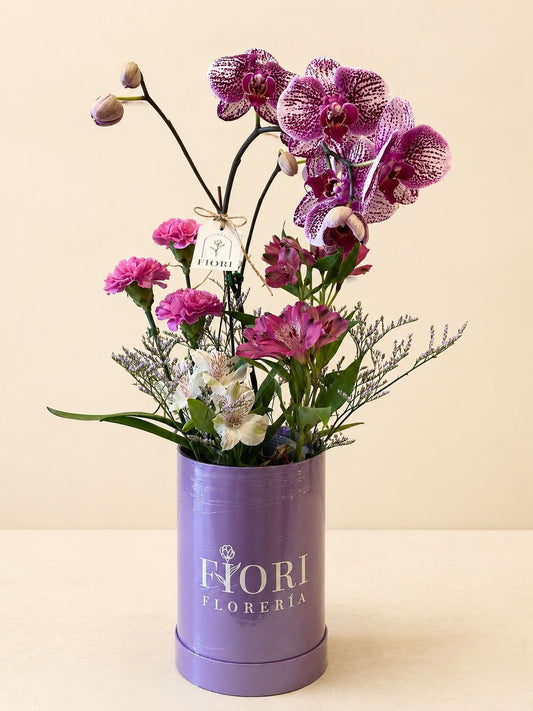 BOX 125 - ORQUIDEAS