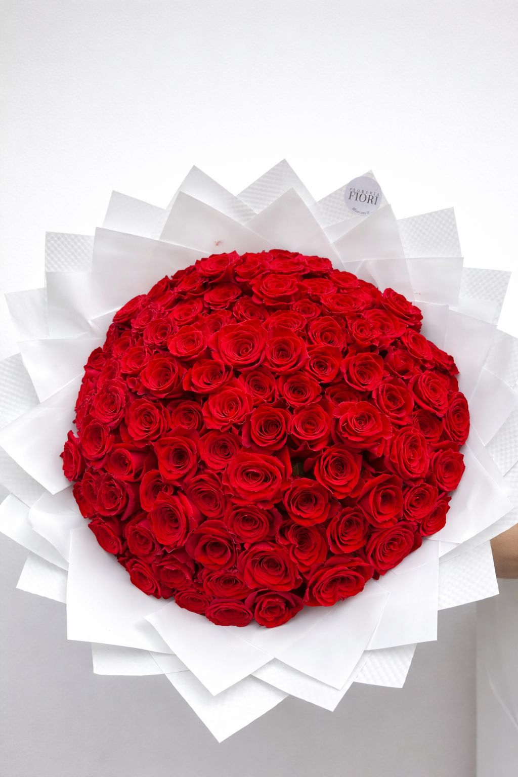 RA 100 ROSAS
